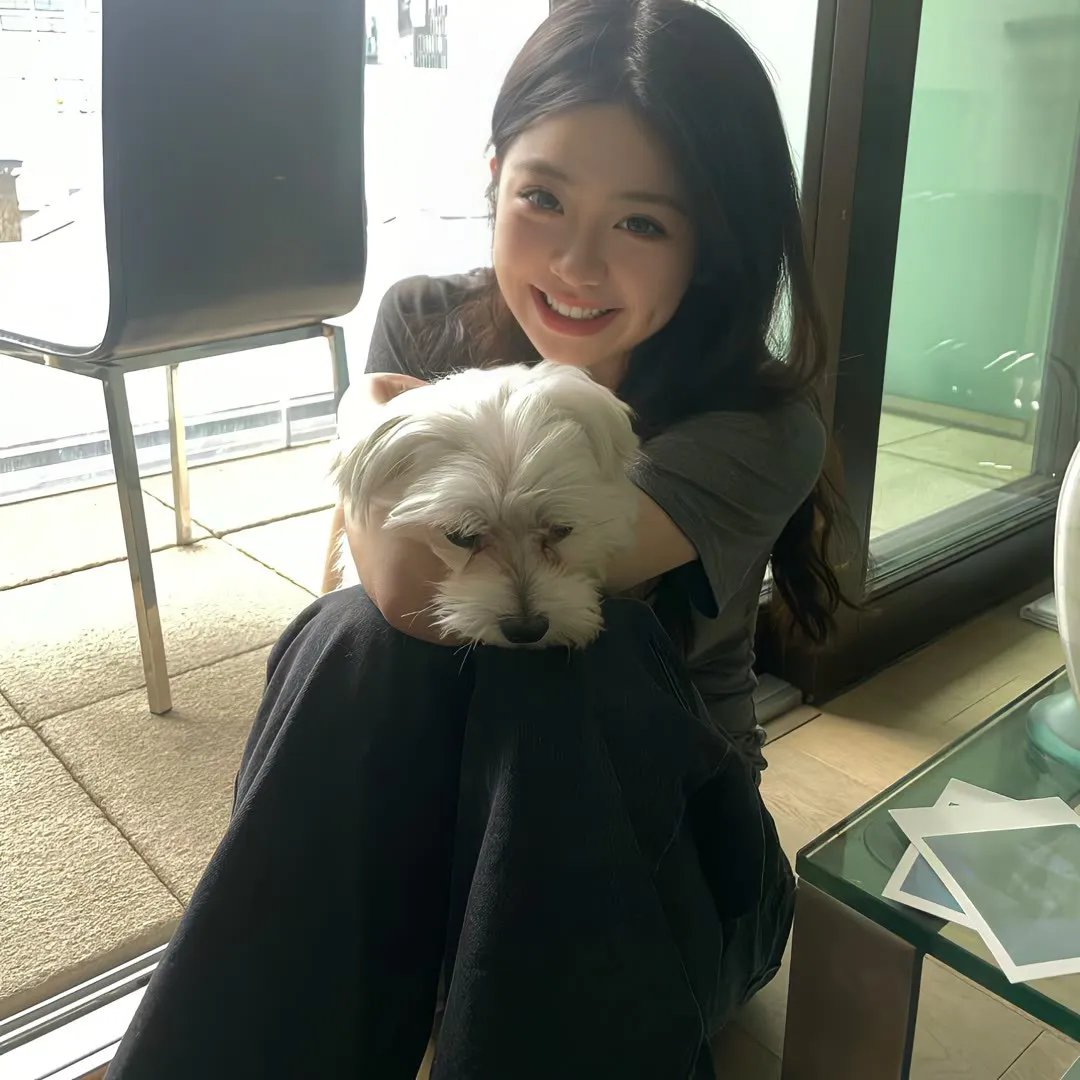 养猫的人